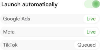 Campaigns launching across Google, Meta, and TikTok