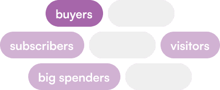 Audience segment tags