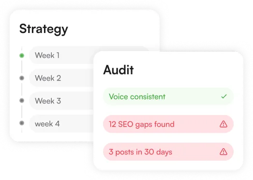 Audit and strategy